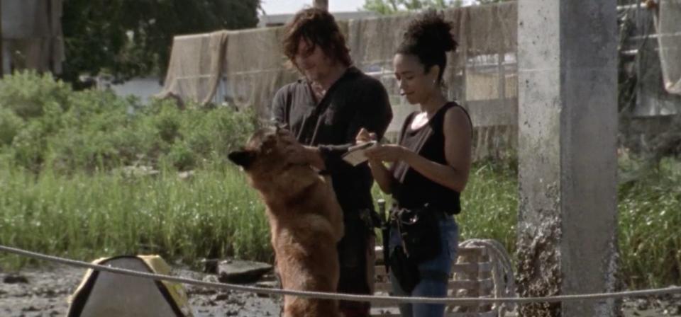 daryl dog connie twd 1001