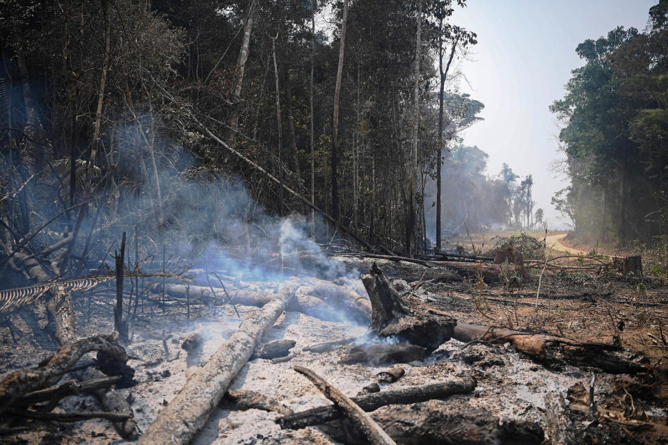 Smoke billows from the ashes of felled trees in the Brazil's Amazon. (Carl De Souza / AFP via Getty Images file)