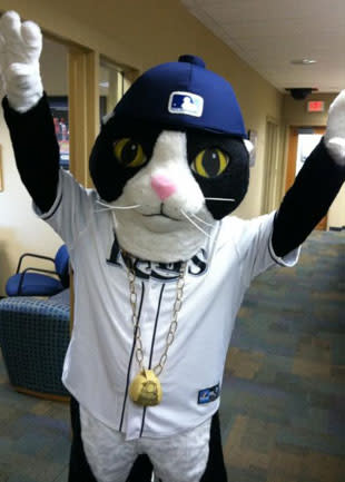 DJ Kitty is the BEST MASCOT! My First Rays Game for 2023 MLB