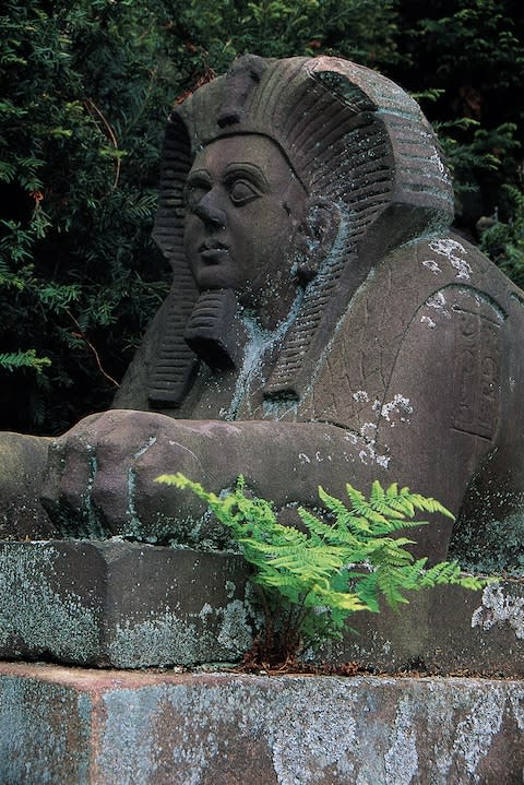 Egypt Garden - Credit: getty