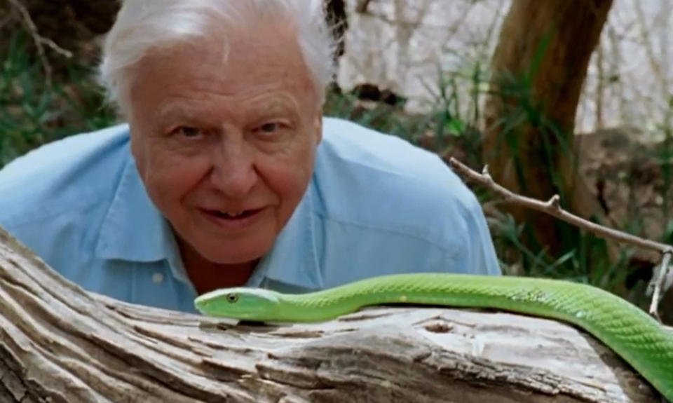 From the official trailer for Sir David Attenborough's new feature film David Attenborough: A Life On Our Planet. The feature-length documentary looks back on the defining moments of his life and the environmental devastation that has taken place during that time. Source: PA