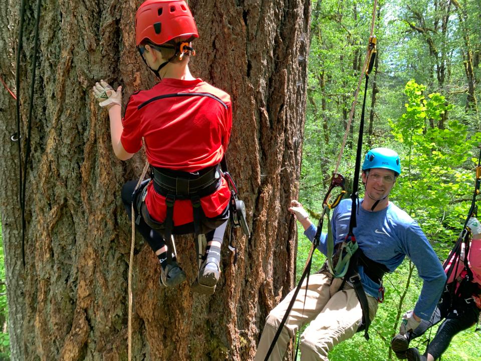 Zach Urness takes a guided tree climbing trip up a 200-foot Douglas fir at Silver Falls State Park.