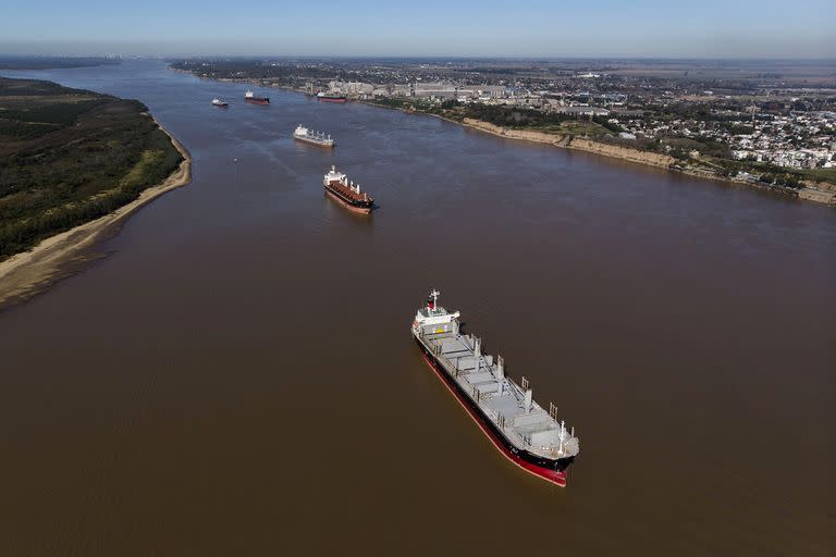 La Argentina es el principal proveedor mundial de harina y de aceite de soja