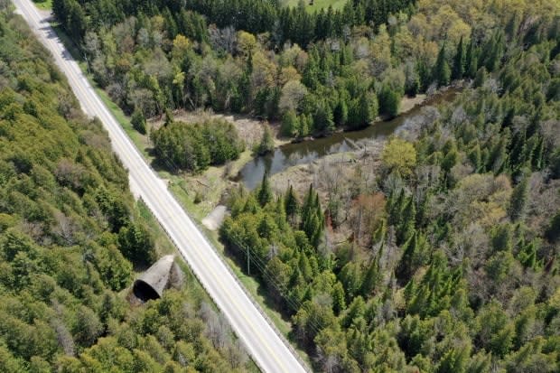 A drone's view of Winston Churchill Boulevard, looking southward, in Erin. Effluent from the wastewater treatment plant would flow into the West Credit at the culvert shown in the image.