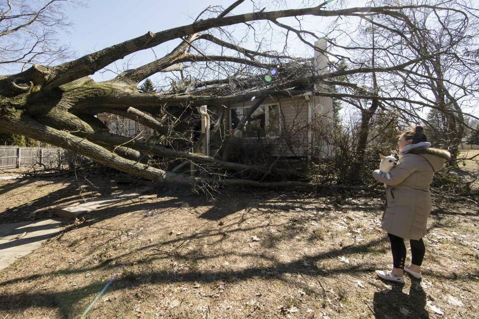 Jill Anszis holds her dog Tinker Bell as she looks at the house she was in at the time a tree fell upon it in Springfield, Pa., Monday, Feb. 25, 2019. Thousands of utility customers remain without power in Pennsylvania as high winds continue to roar through the state, knocking down trees and power lines. (AP Photo/Matt Rourke)