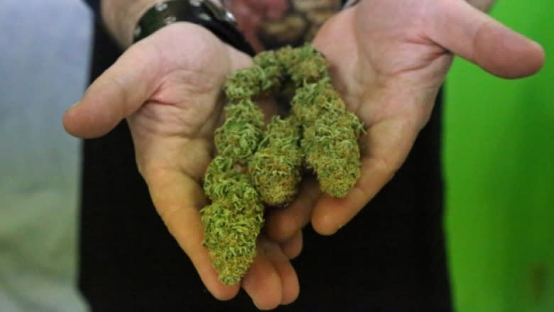 Governments grappling with how to keep pot bought online out of the hands of underage users