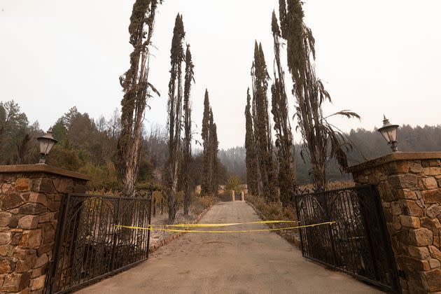 <p>Certains domaines viticoles de la Napa Valley sont partis en fumée, comme le Château Boswell dans la ville de St. Helena. Le domaine de Newton Vineyard, qui appartient au groupe LVMH, a lui aussi été touché. </p>