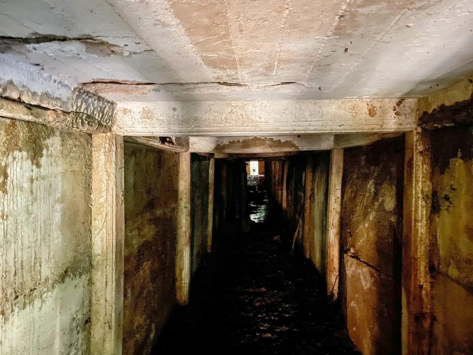 The interior of the tunnel of love at Paronella Park.