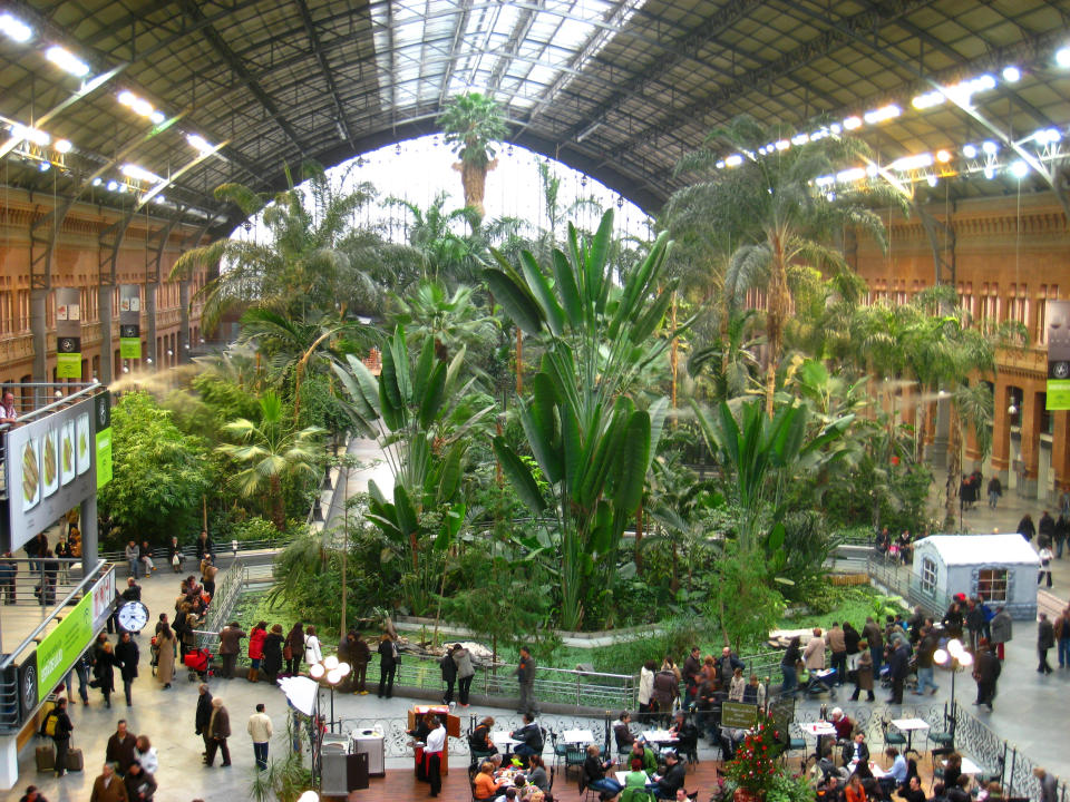 <p>La estación principal de la capital de España presume de tener un jardín tropical en su interior. ¡Casi nada! (Foto: Wikimedia Commons / <a rel="nofollow noopener" href="https://commons.wikimedia.org/wiki/File:Invernadero_de_Atocha,_Madrid_-_view_2.JPG" target="_blank" data-ylk="slk:Daderot;elm:context_link;itc:0;sec:content-canvas" class="link ">Daderot</a>). </p>