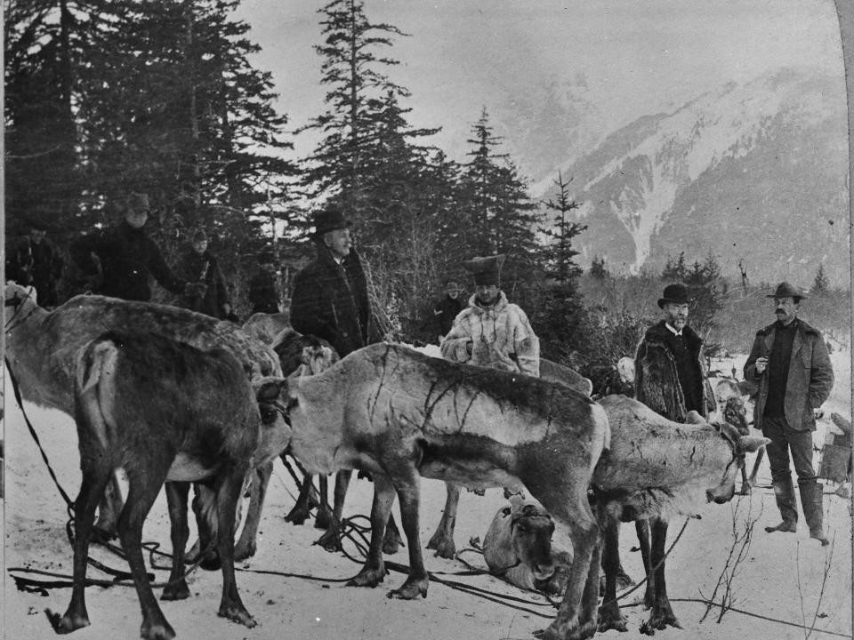 American clergyman Sheldon Jackson (second right, 1834-1909) with men and Government reindeer in Haines, Alaska, circa 1880. Following the Alaska Purchase, Presbyterian minister Jackson committed himself to the Christian spiritual, educational, and economic wellbeing of the Alaskan people; image is one half of a stereoscopic image