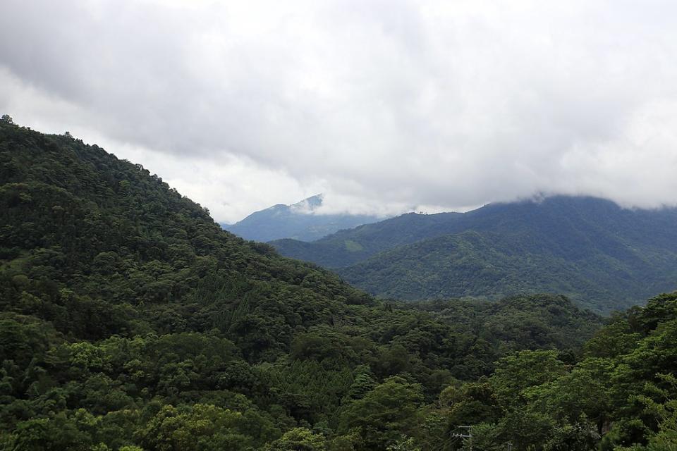 新竹縣橫山鄉｜上山喝咖啡