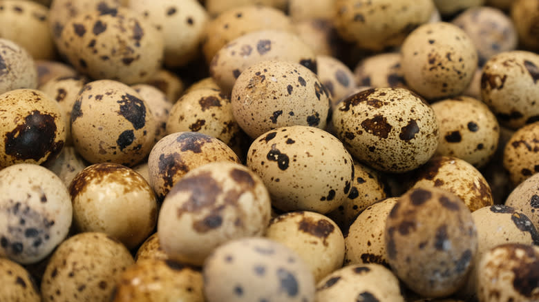 fresh quail eggs