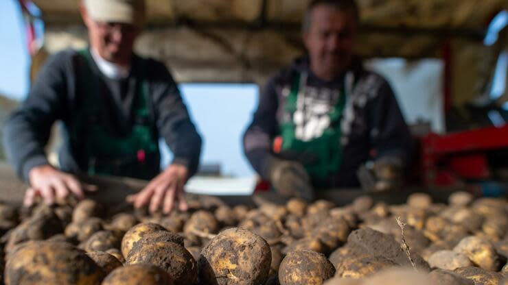 Durch den Wegfall des Außer-Haus-Verzehrs ist die Nachfrage nach Tiefkühlpommes zunächst eingebrochen. Foto: dpa