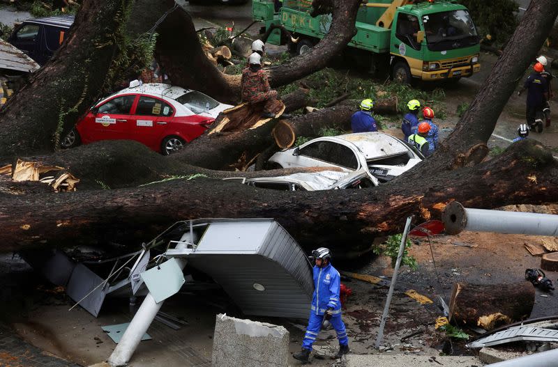 A tree fell across Jalan Raja Chulan, one of the Kuala Lumpur's busiest roads