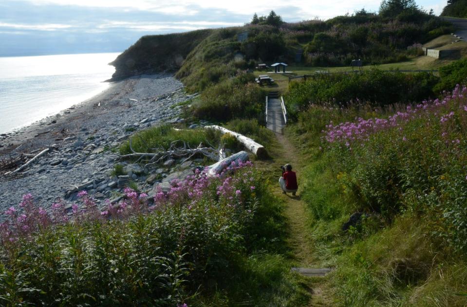 A photographer takes a photo of the view in the Gaspé