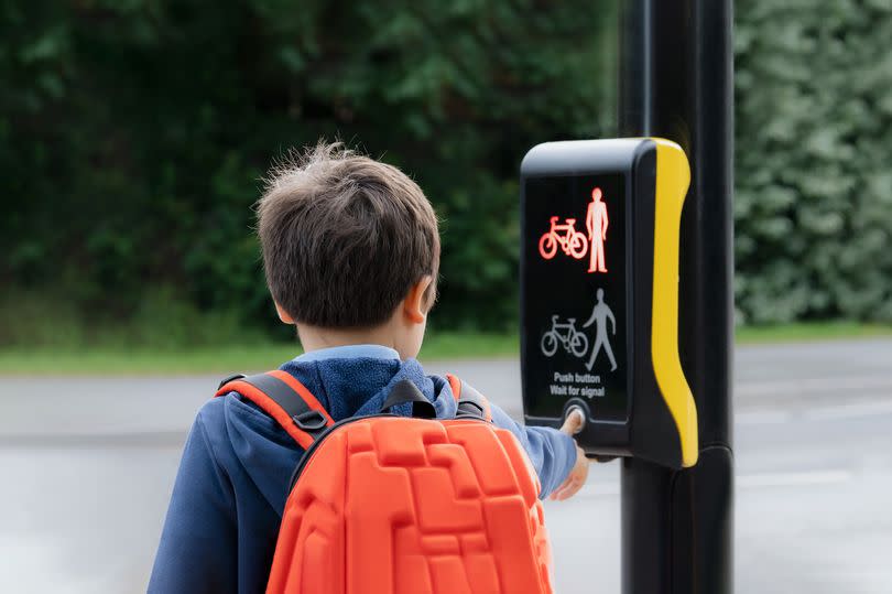 Rear view portrait School kid pressing a button at traffic lights on pedestrian crossing on way to school. Child boy with backpack using traffic signal controlled pedestrian facilities for crossing road.