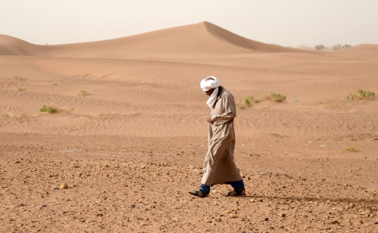 A meteorite hunter searches for rocks near the town of M'hamid el-Ghizlane, in southern Morocco. Unlike other countries, where the state stakes a claim, there is no legal framework governing discoveries in Morocco, so it's a case of 'finders keepers'