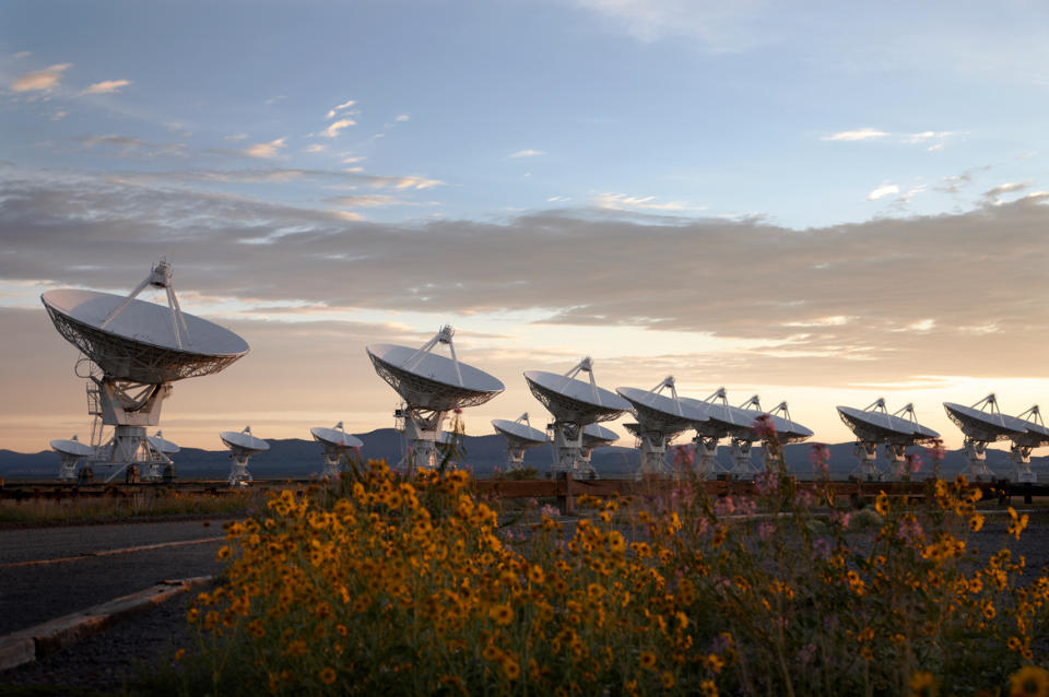 A line of immense satellite dishes stand in the desert