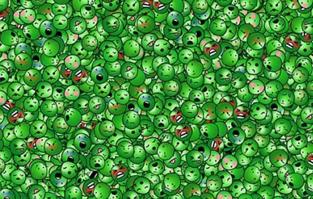 There's one laughing pea among the many angry and confused peas. Photo: SWNS.com