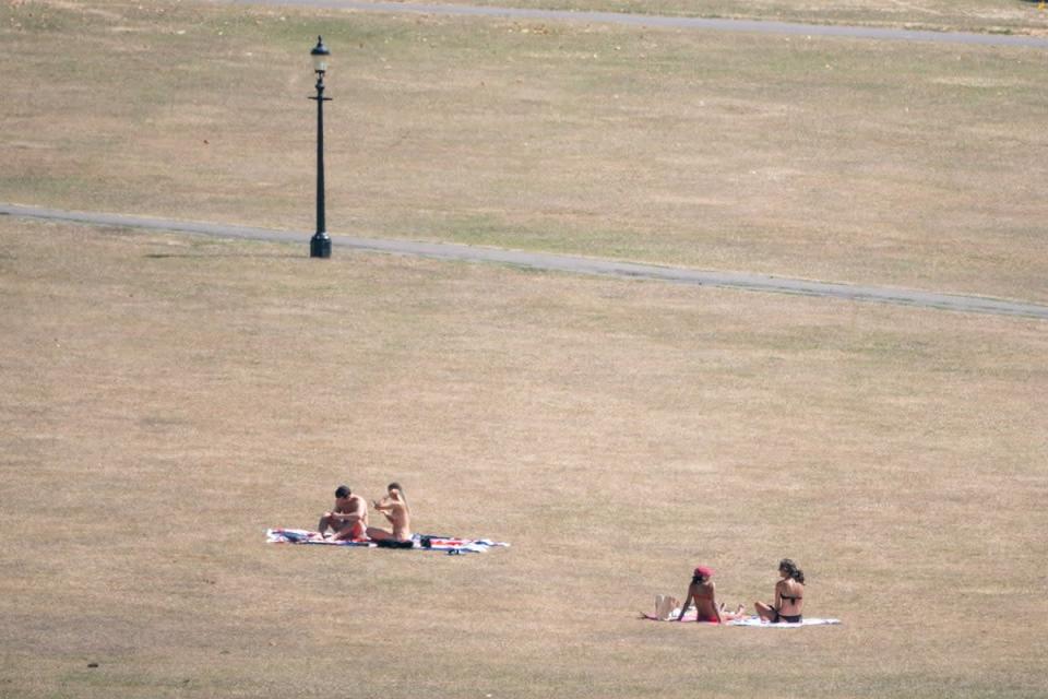People sit on the dry grass of Primrose Hill, north London (Dominic Lipinski/PA) (PA Wire)