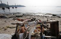 A toy doll is seen on Fundao beach in the Guanabara Bay in Rio de Janeiro March 13, 2014. REUTERS/Sergio Moraes