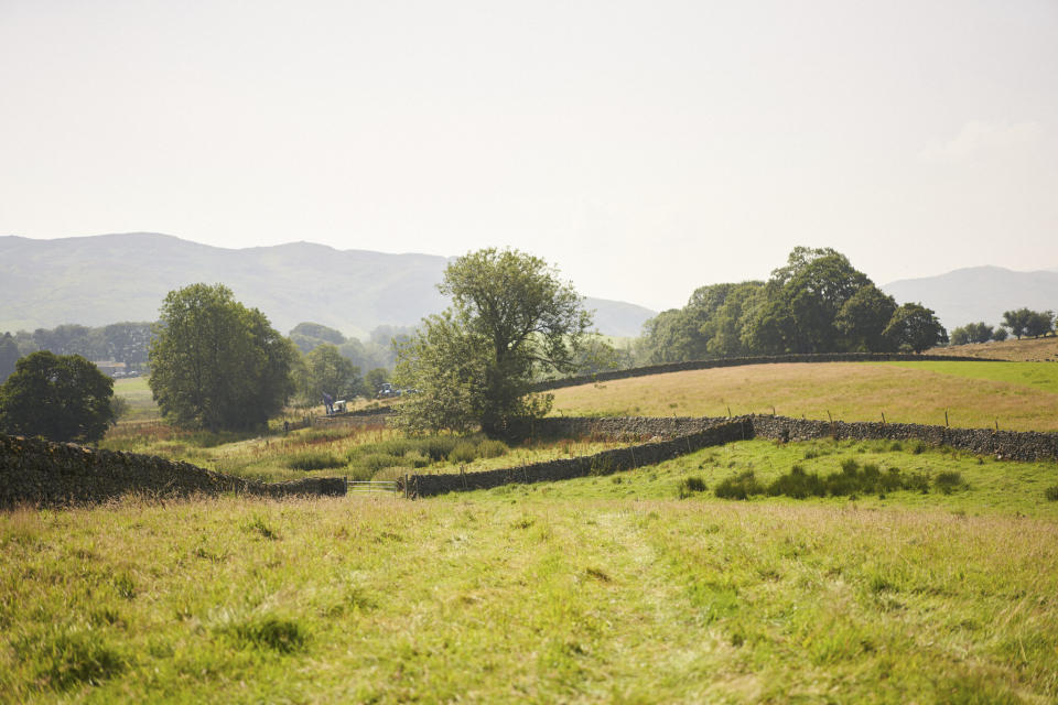 A view of James Rebanks' farm in the English countryside<span class="copyright">Stuart Simpson</span>