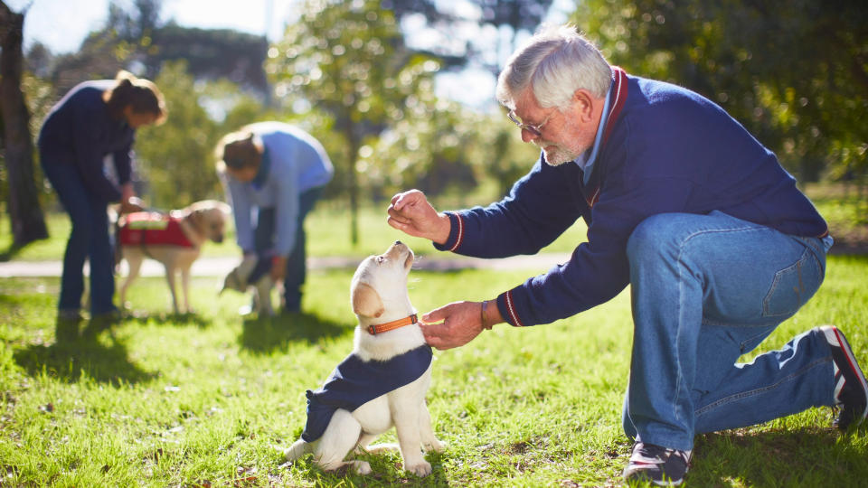 Owner kneeling down to train a puppy