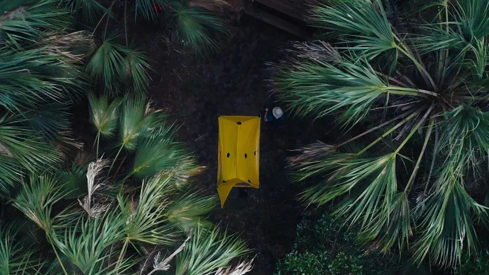 A yellow tent surrounded by trees