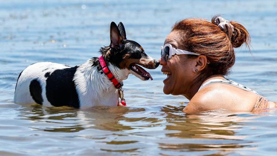 Vivian Abreu and her dog Mini Abreu cool off from the hot weather on the beaches along Rickenbacker Causeway in Miami on June 6, 2024.
