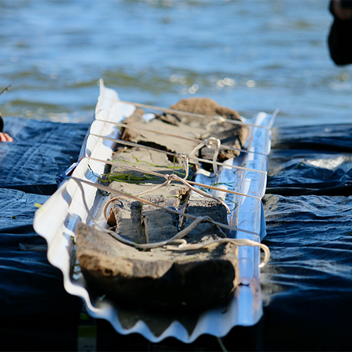 The 3,000-year-old canoe was discovered by maritime archaeologist Tamara Thomsen during a recreational dive in May. It dates back to 1000 B.C. / Credit: Wisconsin Historical Society