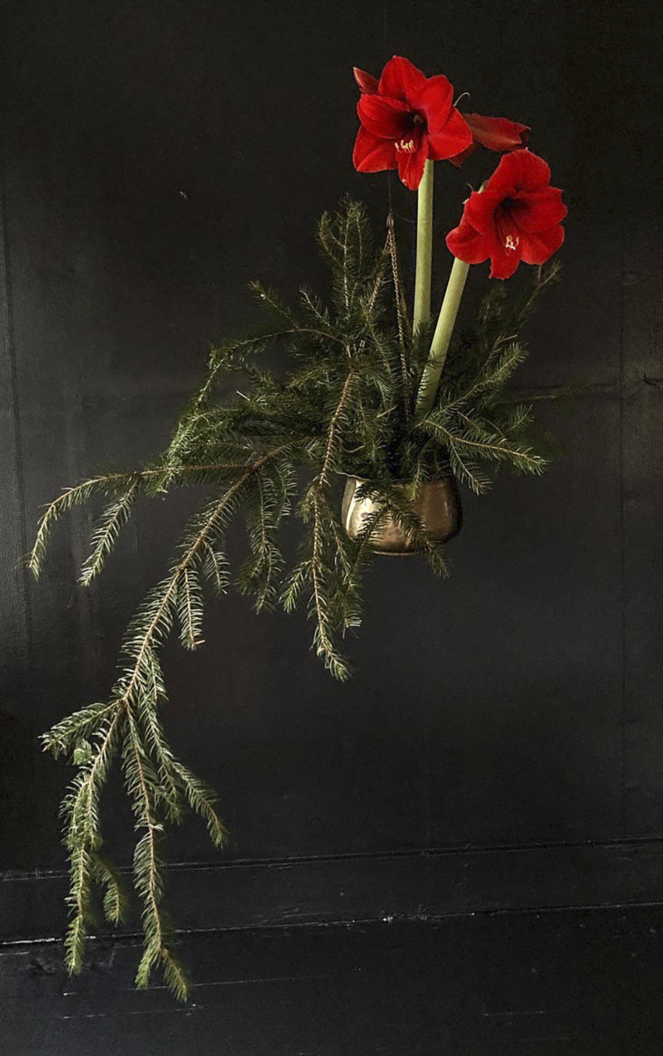 This image provided by Todd Carr shows an amaryllis in a hanging planter. Todd Carr, designer and co-owner of the Freehold, NY shop Hort & Pott, says, "Put a potted amaryllis in a hanging planter, and fill the base with evergreens for an uplighting, magical arrangement that takes up little space. (Todd Carr via AP)