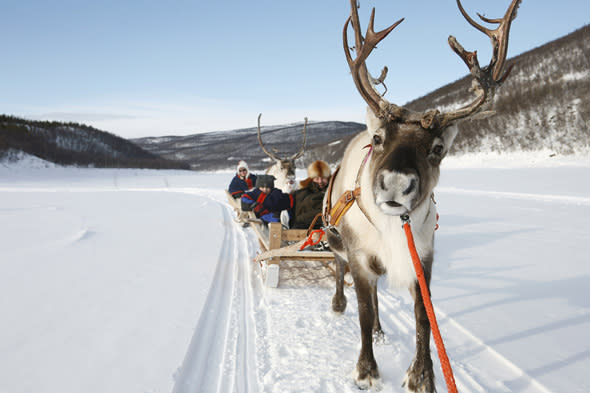 christmas in Lapland