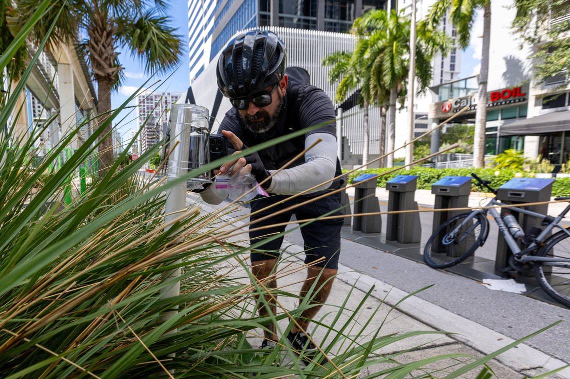 Local street artist Ahol Sniffs Glue takes a picture of his artwork to alert his social media and Discord followers. D.A. Varela/dvarela@miamiherald.com