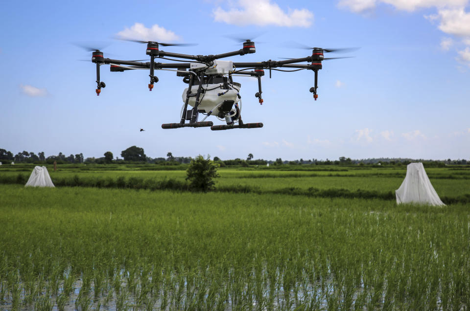 In this photo taken Thursday, Oct. 31, 2019, a drone to spray the breeding grounds of malaria-carrying mosquitoes is tested at Cheju paddy farms in the southern Cheju region of the island of Zanzibar, Tanzania. Drones spraying a silicone-based liquid that spreads across the large expanses of stagnant water where malaria-carrying mosquitoes lay their eggs, are being tested to help fight the disease on the island of Zanzibar, off the coast of Tanzania. (AP Photo/Haroub Hussein)