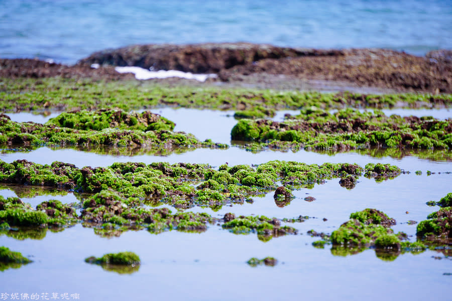 新北石門｜北海岸踏浪玩沙