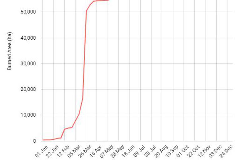 El gráfico de áreas quemadas acumulativas semanales de EFFIS muestra un aumento exponencial en las últimas semanas en España.