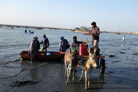 Fishermen take out their catch from the sea at the end of the day in Gwadar, Pakistan October 4, 2017. Picture taken October 4, 2017. REUTERS/Drazen Jorgic