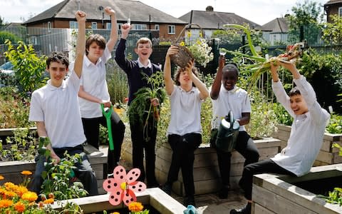 The children at Springhallow school with their raised beds - Credit: Luke MacGregor/RHS