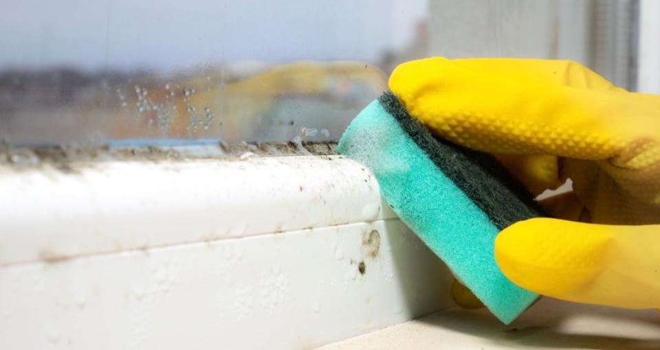 Hand in yellow rubber glove using sponge to clean mould on window sill