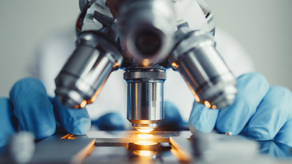 examining of test sample under the microscope in laboratory