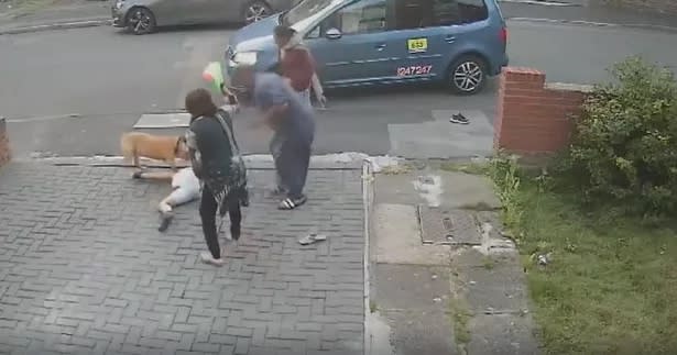 This moment a boy is mauled by an out-of-control dog outside his home. (Reach)
