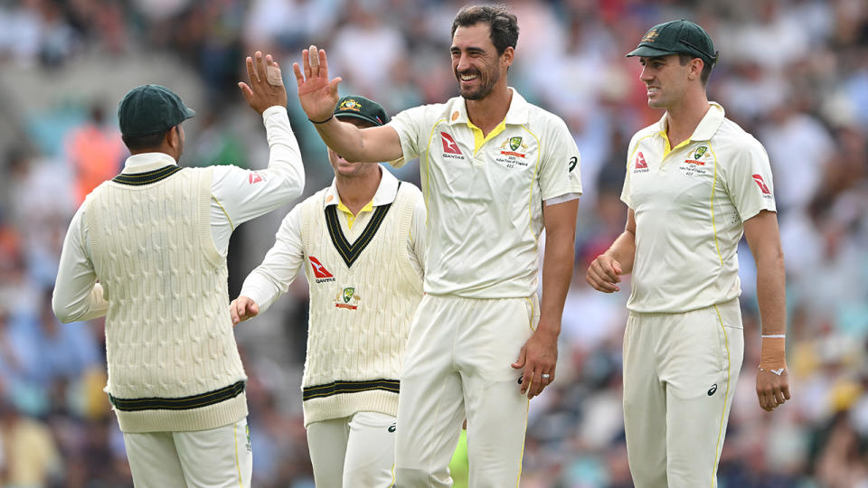 Mitchell Starc celebrates wicket with Australian teammates.