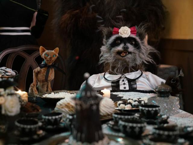 Take a Peek at Netflix's Spooky Cooking Show (with Puppets!)