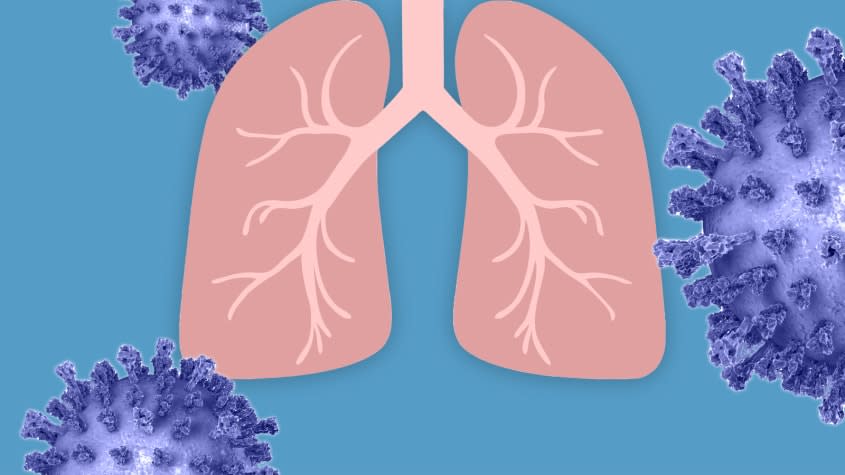 Lungs