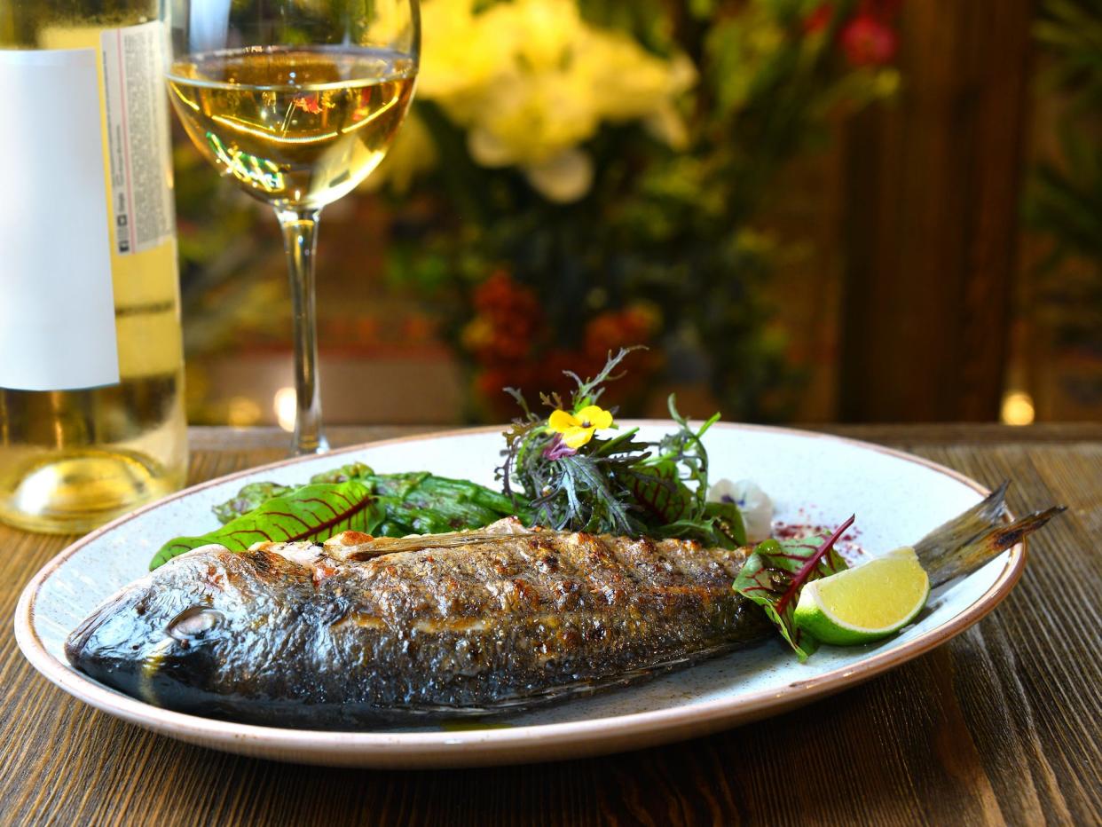 bottle and glass of white wine behind a plate of fish and salad