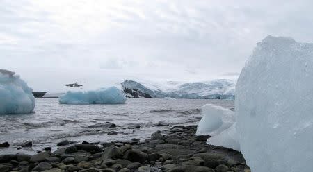 Bloques de hielo son vistos en la costa de la Base Carlini de Argentina en frente del glaciar Fourcade en la Antártida, foto tomada el 12 de enero de 2017. REUTERS/Nicolas Misculin