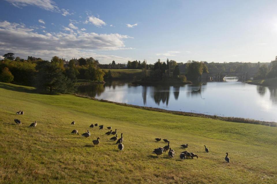 VIDEO: Mysterious 30-metre creature found in Blenheim Palace lake <i>(Image: Blenheim Palace)</i>