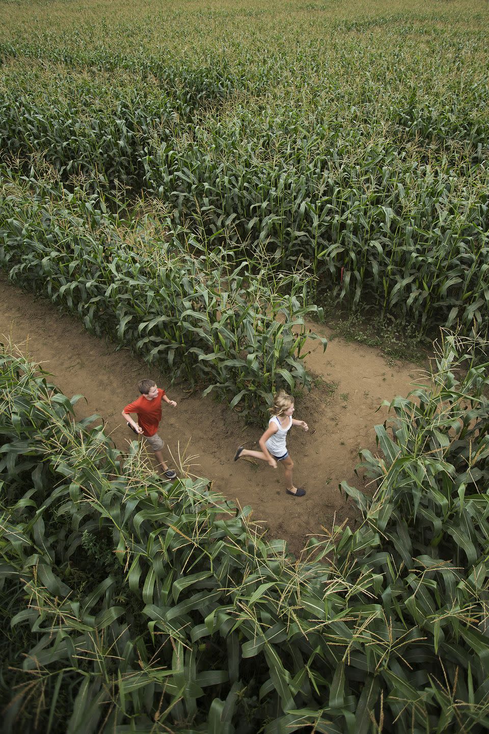 <p>Put your skills to the test by buying a combo ticket for <a href="https://bufordcornmaze.com/" rel="nofollow noopener" target="_blank" data-ylk="slk:Buford’s Corn Maze;elm:context_link;itc:0;sec:content-canvas" class="link ">Buford’s Corn Maze</a> five-acre labyrinth and haunted forest (for kids ages 10+), and try completing them back to back. In between mazes, be sure to check out the rest of the <a href="https://go.redirectingat.com?id=74968X1596630&url=https%3A%2F%2Fwww.tripadvisor.com%2FTourism-g34806-Buford_Georgia-Vacations.html&sref=https%3A%2F%2Fwww.countryliving.com%2Flife%2Ftravel%2Fg22717241%2Fcorn-maze-near-me%2F" rel="nofollow noopener" target="_blank" data-ylk="slk:Buford, Georgia;elm:context_link;itc:0;sec:content-canvas" class="link ">Buford, Georgia</a>, farm’s activities like their kid-friendly slides, fun jumping pillows, scenic hayrides, and more.</p><p><a class="link " href="https://go.redirectingat.com?id=74968X1596630&url=https%3A%2F%2Fwww.tripadvisor.com%2FAttractions-g34806-Activities-Buford_Georgia.html&sref=https%3A%2F%2Fwww.countryliving.com%2Flife%2Ftravel%2Fg22717241%2Fcorn-maze-near-me%2F" rel="nofollow noopener" target="_blank" data-ylk="slk:PLAN YOUR TRIP;elm:context_link;itc:0;sec:content-canvas">PLAN YOUR TRIP</a> </p>