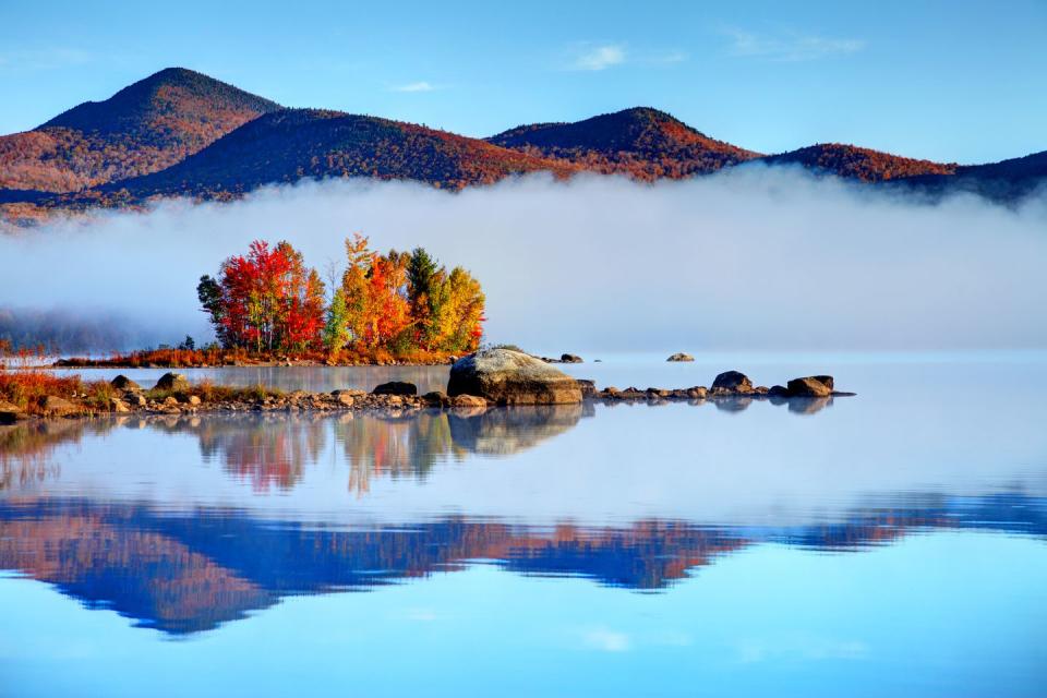 <p>The Green Mountain National Forest is a great place to see foliage against clear blue skies. </p>