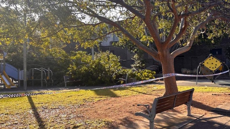 Four people, including a child, were taken to hospital after a tree fell on a playground during Eid al-Fitr celebrations in Wollongong. Picture: ABC